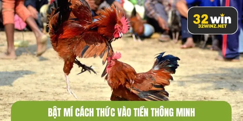 Bật mí cách thức vào tiền thông minh