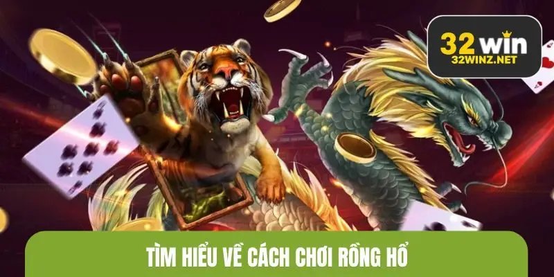 Tìm hiểu về cách chơi rồng hổ