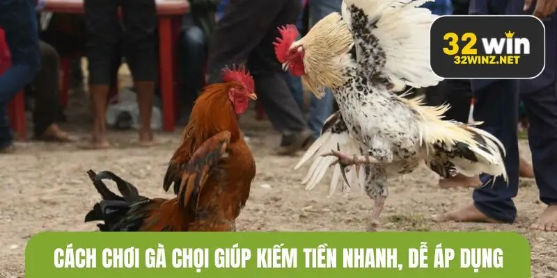 Cách chơi gà chọi giúp kiếm tiền nhanh, dễ áp dụng