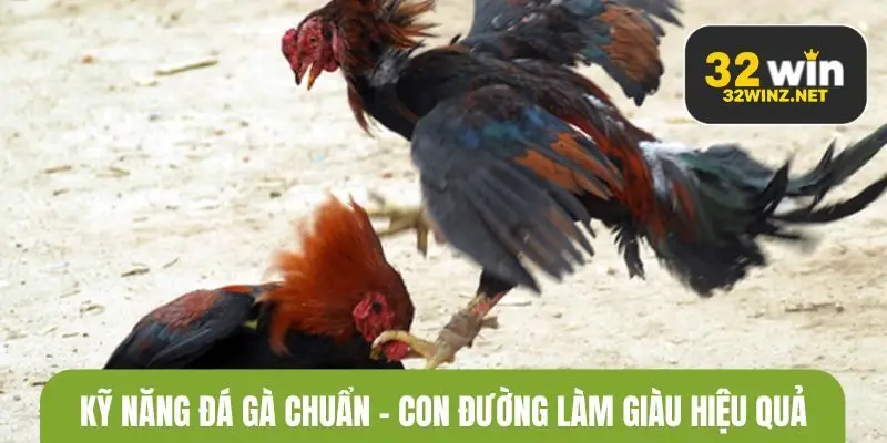 Kỹ năng đá gà chuẩn – Con đường làm giàu hiệu quả