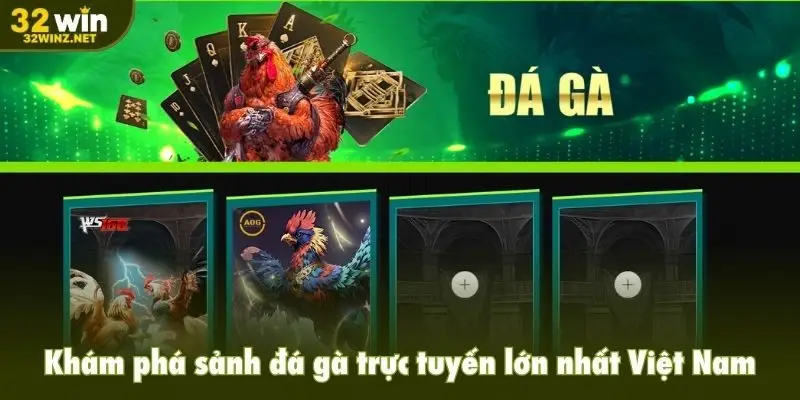 Khám phá sảnh đá gà trực tuyến lớn nhất Việt Nam