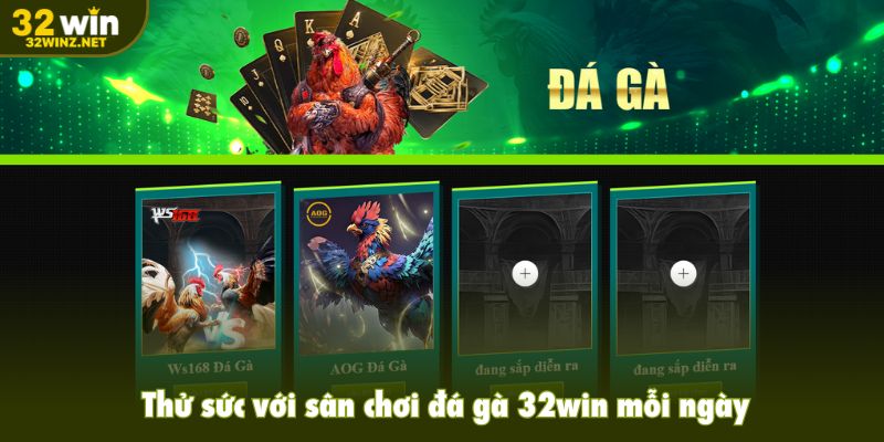 Thử sức với sân chơi đá gà 32win mỗi ngày