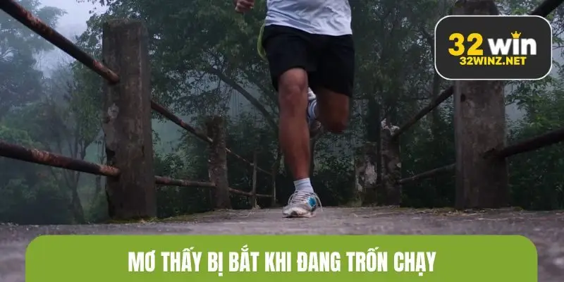 Mơ thấy bị bắt khi đang trốn chạy cho thấy áp lực đang bủa vây